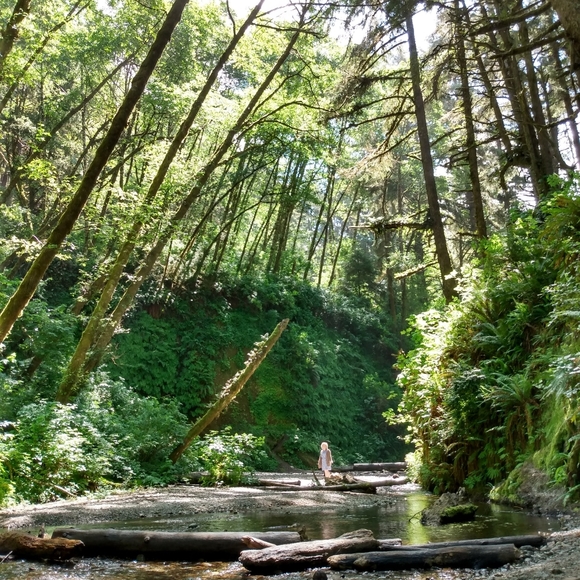 Meet your Posher, Charlotte - Picture 4 of 4